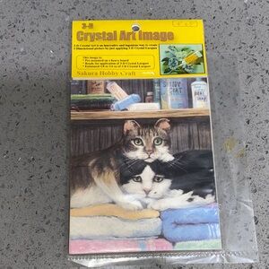 3D Crystal Art - Black and White Cat Design